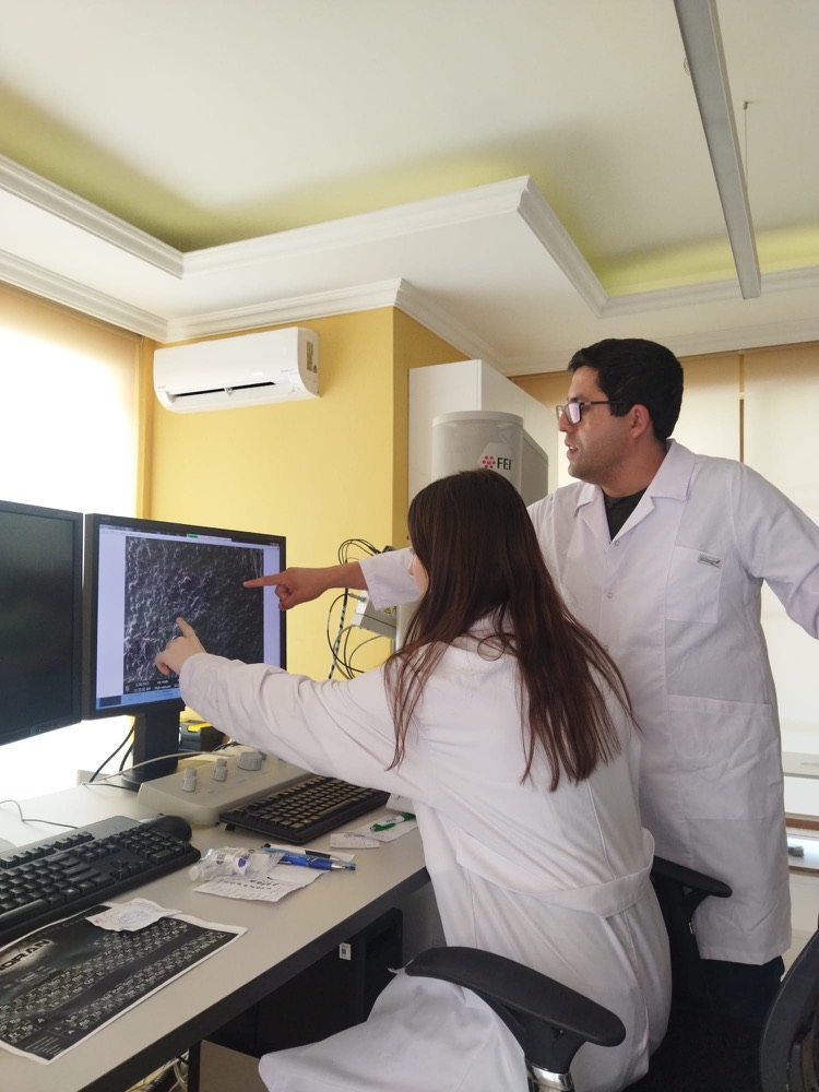 Looking at a sample image on a lab computer